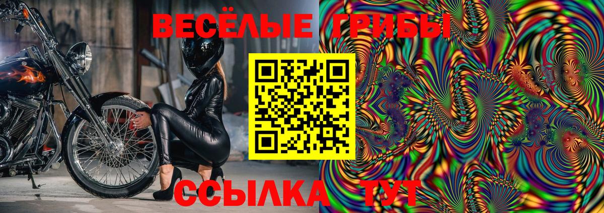 Архангельск  Галлюциногенные грибы Psilocybe  Псилоцибиновые грибы GOLDEN TEACHER  Вход с VPN 