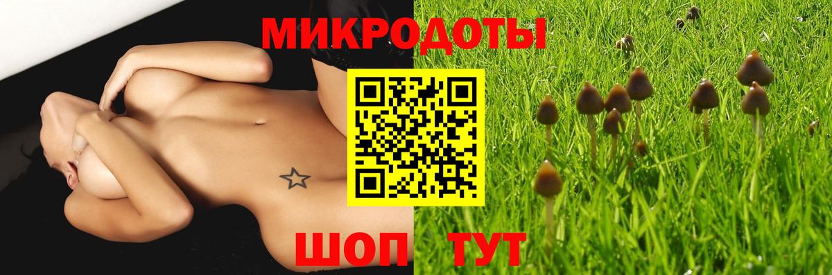 Псилоцибиновые грибы прущие грибы Архангельск
